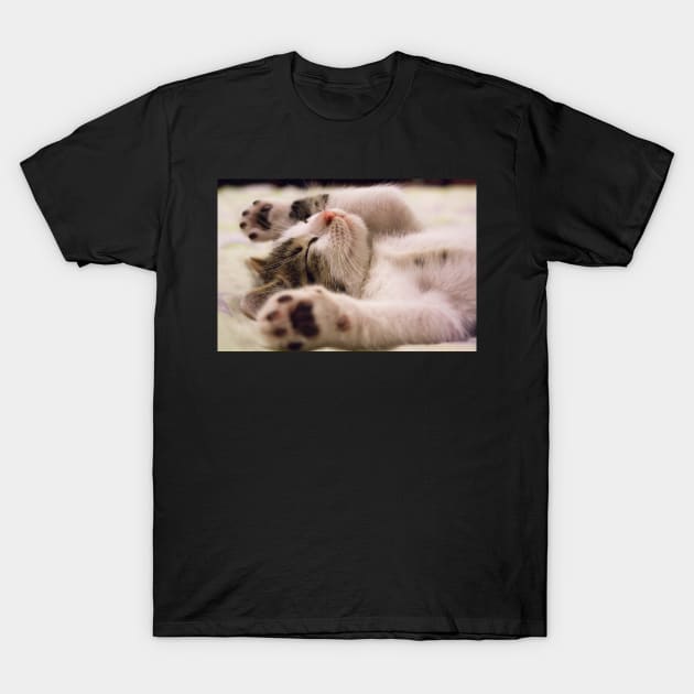 Sleeping Cat Banzai T-Shirt by kawaii_shop